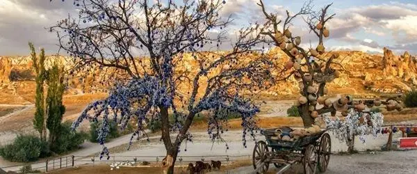 Barış Beach Resort & Spa 8